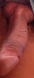 Acompanhante Novin