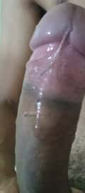 Acompanhante Brenon