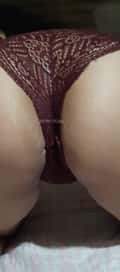 Acompanhante Melisagostosa