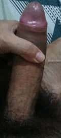 Acompanhante Bruno