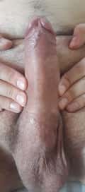 Acompanhante Mr Hojazi