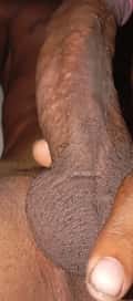 Acompanhante Preto