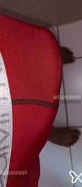 Acompanhante Ricardo