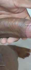 Acompanhante Alospide