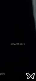 Acompanhante Black