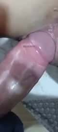 Acompanhante Chico Alencar