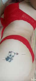 Acompanhante Panda