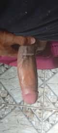 Acompanhante Douglas
