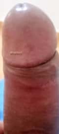 Acompanhante Gostosão
