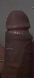 Acompanhante Roberto