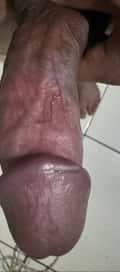 Acompanhante Cachorrão