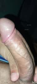 Acompanhante Gatoboy