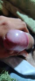 Acompanhante Guilherme Lima