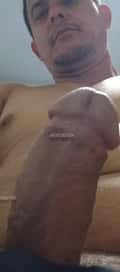 Acompanhante Daniel