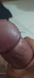 Acompanhante Pretinho