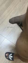 Acompanhante Jose