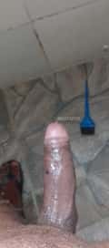 Acompanhante Dudumoreno