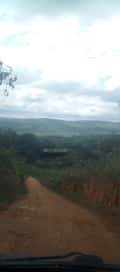Acompanhante Jk Pinheiro