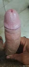 Acompanhante Nordestino Sfd