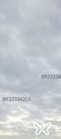 Acompanhante Bbfx