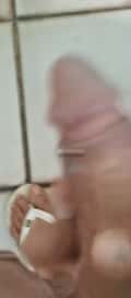 Acompanhante Gustavo Pz