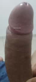 Acompanhante Bruno