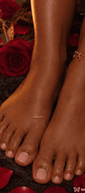 Acompanhante Pretafeet