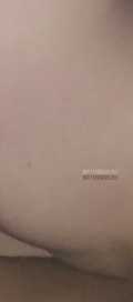 Acompanhante Moreno Novado