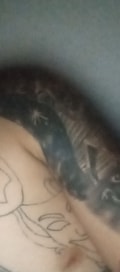 Acompanhante Rafael Veiga