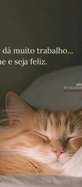 Acompanhante Vanessinha