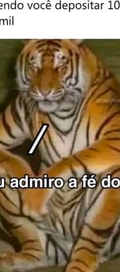 Acompanhante Conta Cancelada