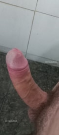 Acompanhante Alemão