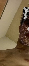 Acompanhante Leonardo Silva