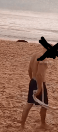 Acompanhante Moreira
