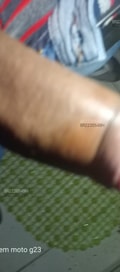 Acompanhante Anjoblack