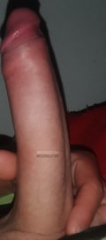 Acompanhante Alemão