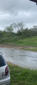 Acompanhante Gabriel Lima
