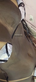 Acompanhante Pamella