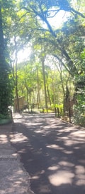 Acompanhante Paulo
