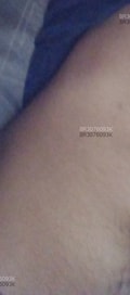 Acompanhante Gustavo
