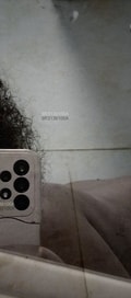 Acompanhante Loba Negra
