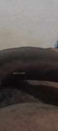 Acompanhante Herren