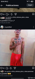 Acompanhante Eross