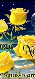 Acompanhante Alemão