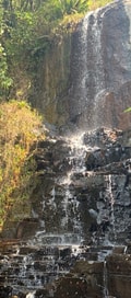 Acompanhante Garotaloirinha