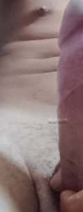 Acompanhante Minino Kid