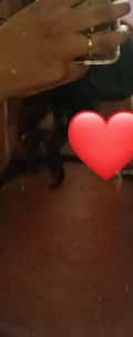 Acompanhante Preta