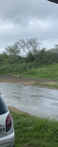 Acompanhante Gabriel Lima