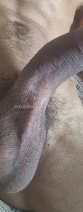 Acompanhante Ícaro