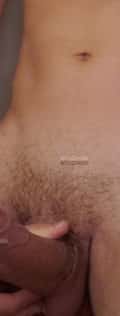Acompanhante Tesudo